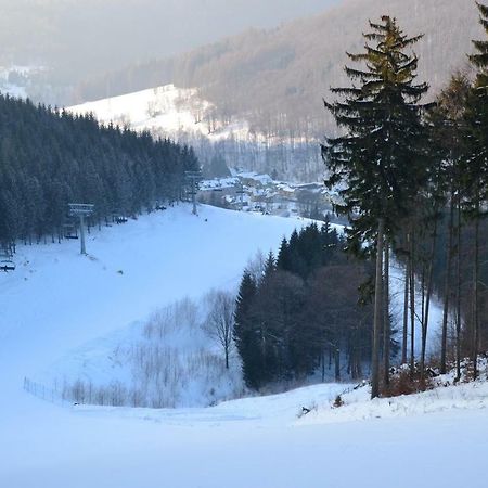 Apartman Pod Medvedi Horou Loučná nad Desnou المظهر الخارجي الصورة