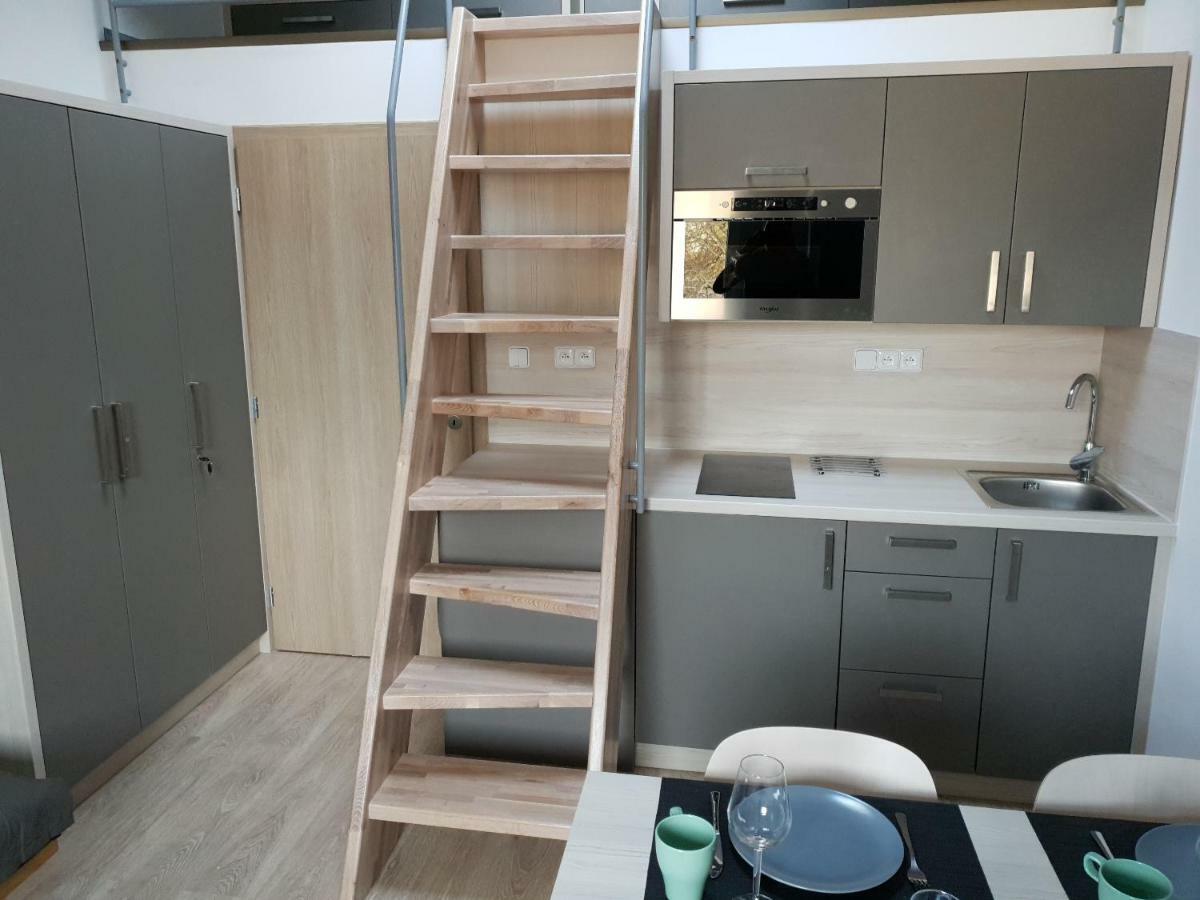 Apartman Pod Medvedi Horou Loučná nad Desnou المظهر الخارجي الصورة