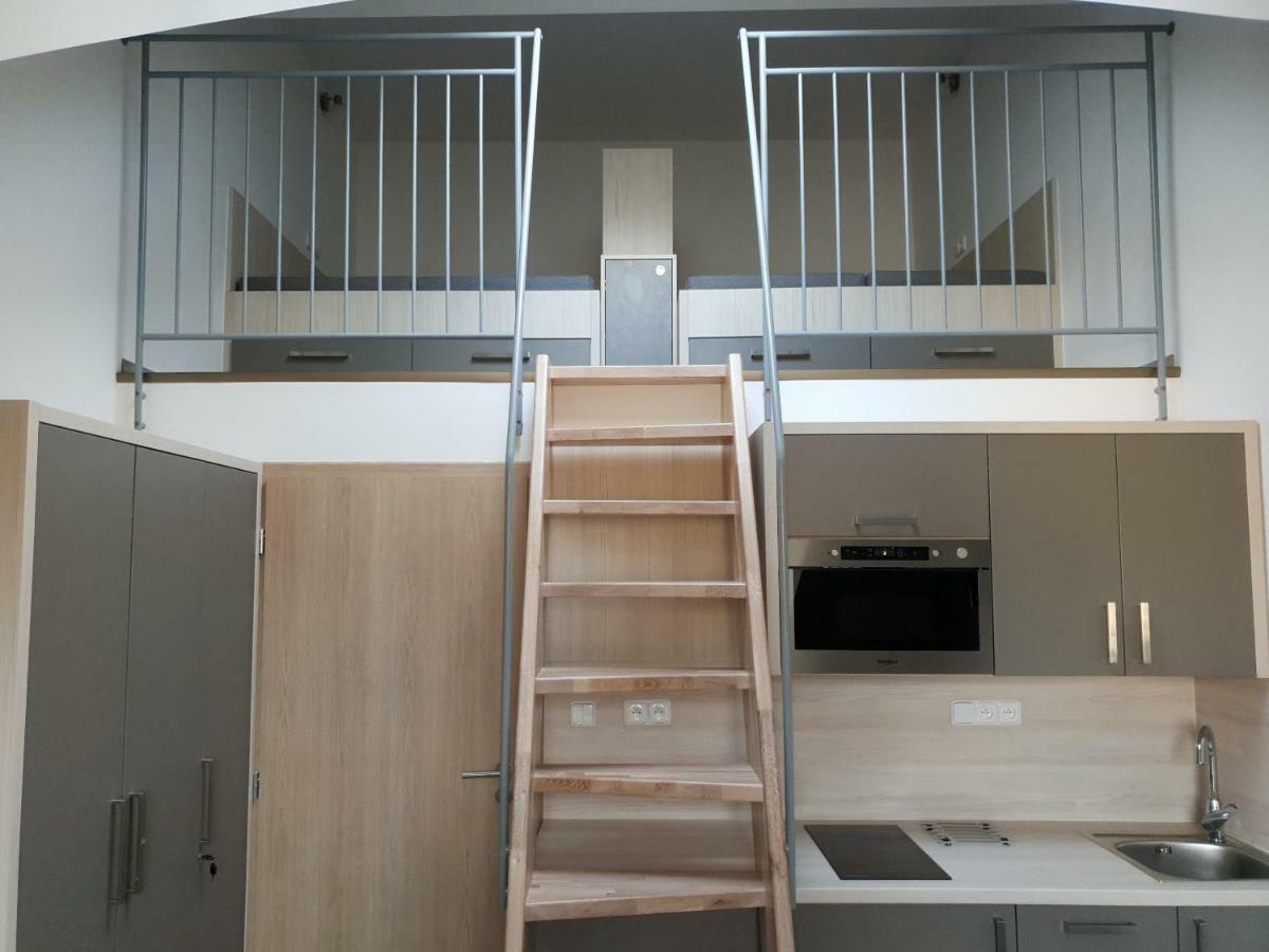 Apartman Pod Medvedi Horou Loučná nad Desnou المظهر الخارجي الصورة