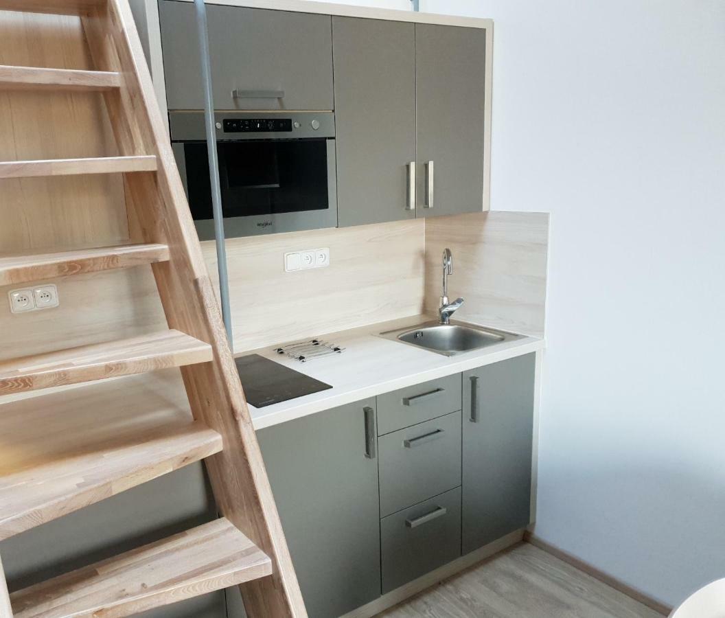 Apartman Pod Medvedi Horou Loučná nad Desnou المظهر الخارجي الصورة