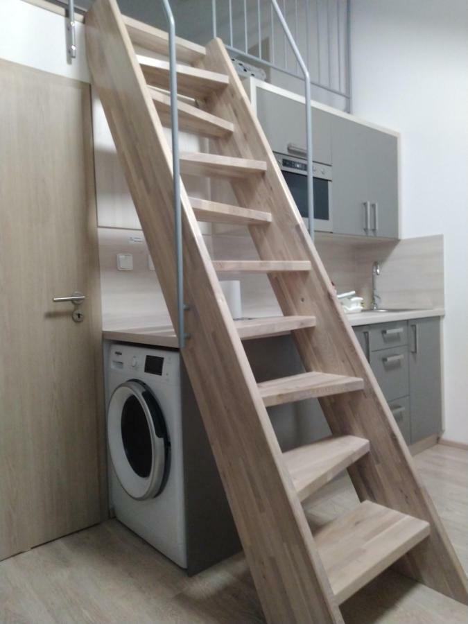 Apartman Pod Medvedi Horou Loučná nad Desnou المظهر الخارجي الصورة