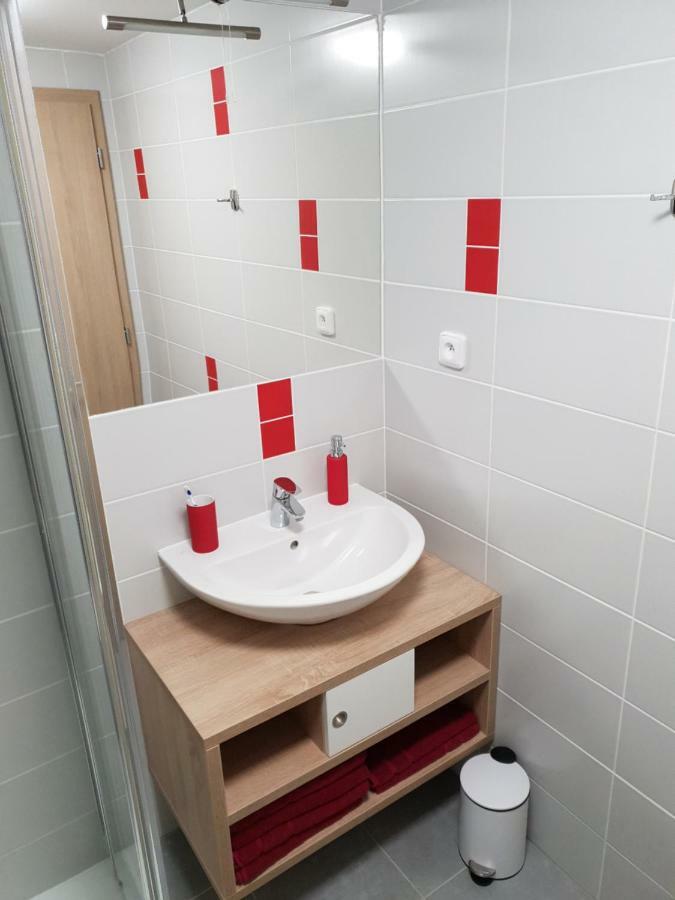 Apartman Pod Medvedi Horou Loučná nad Desnou المظهر الخارجي الصورة