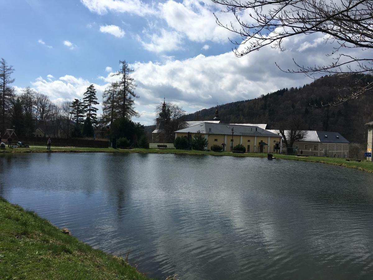 Apartman Pod Medvedi Horou Loučná nad Desnou المظهر الخارجي الصورة
